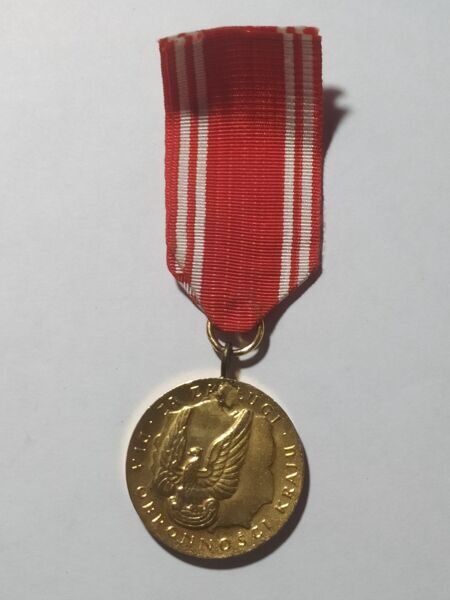 Польша. Медаль "За заслуги при защите страны" 1966г.  1 степени.
